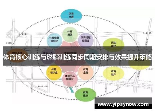体育核心训练与燃脂训练同步周期安排与效果提升策略