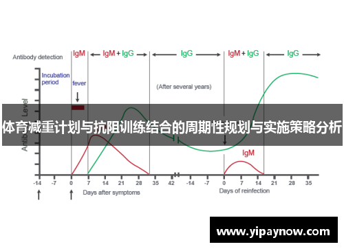 体育减重计划与抗阻训练结合的周期性规划与实施策略分析